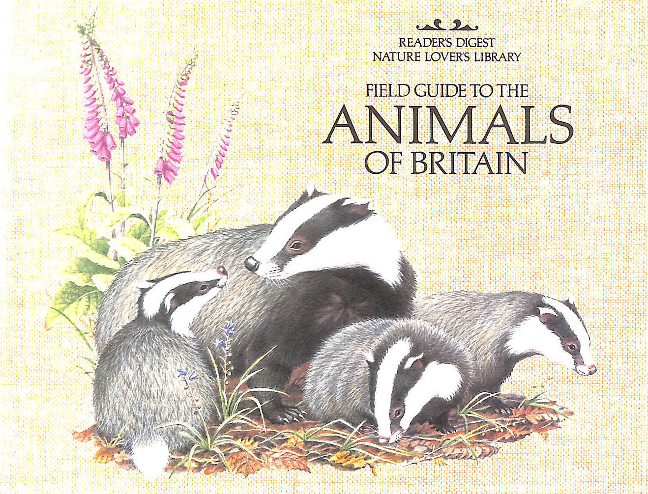 Field Guide to the Animals of Britain