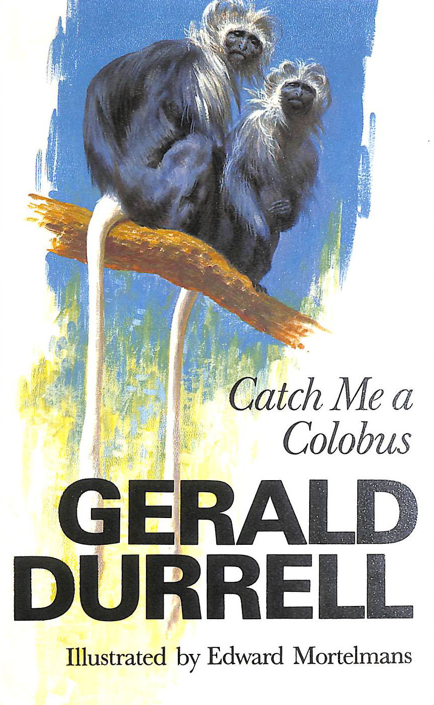 Catch me a Colobus