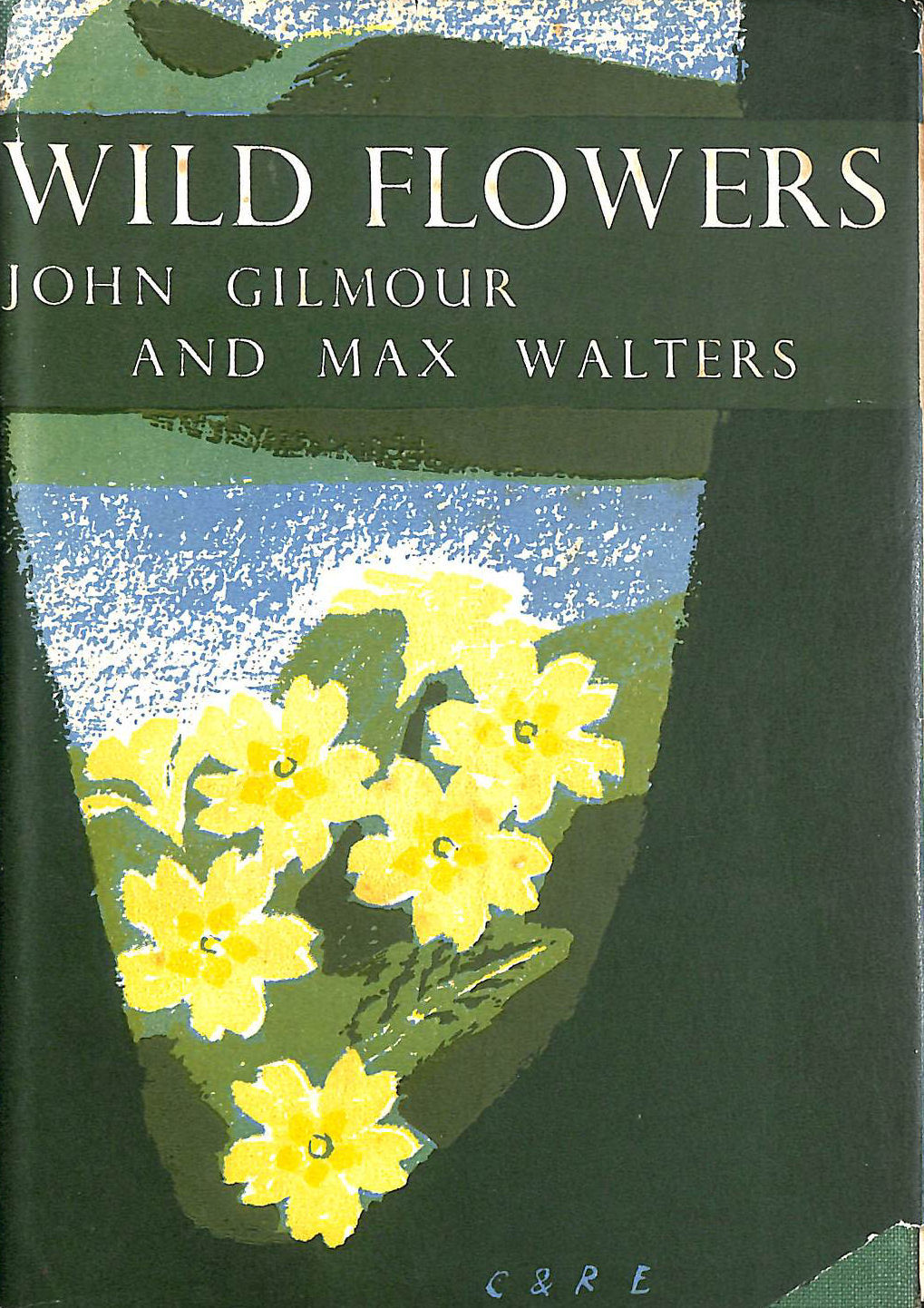 Wild flowers: Botanising in Britain