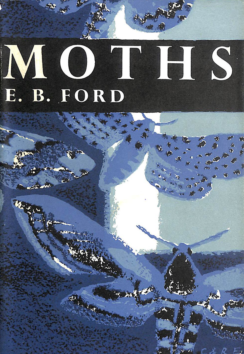 Moths