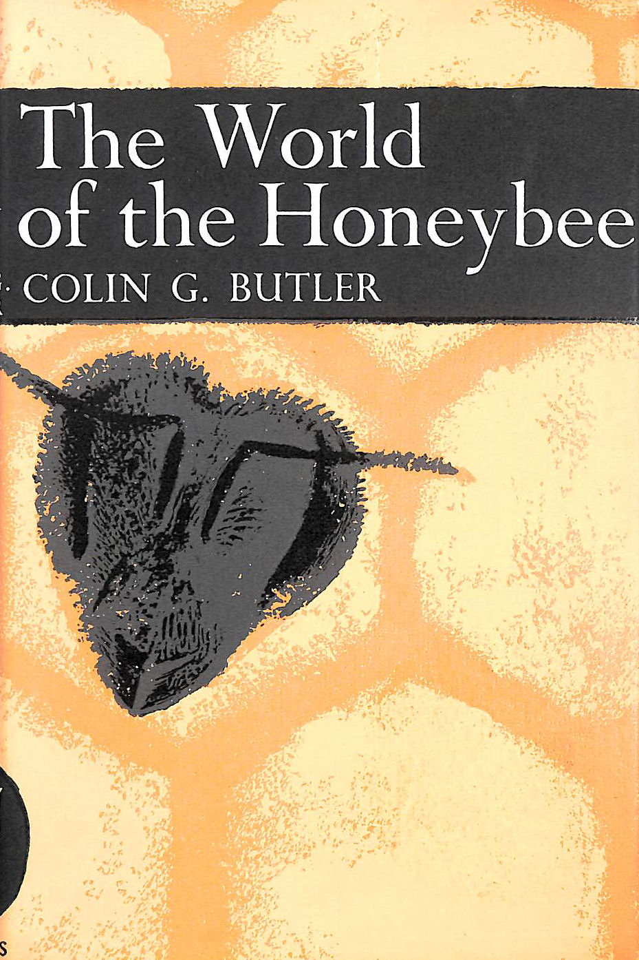 The World of the Honeybee