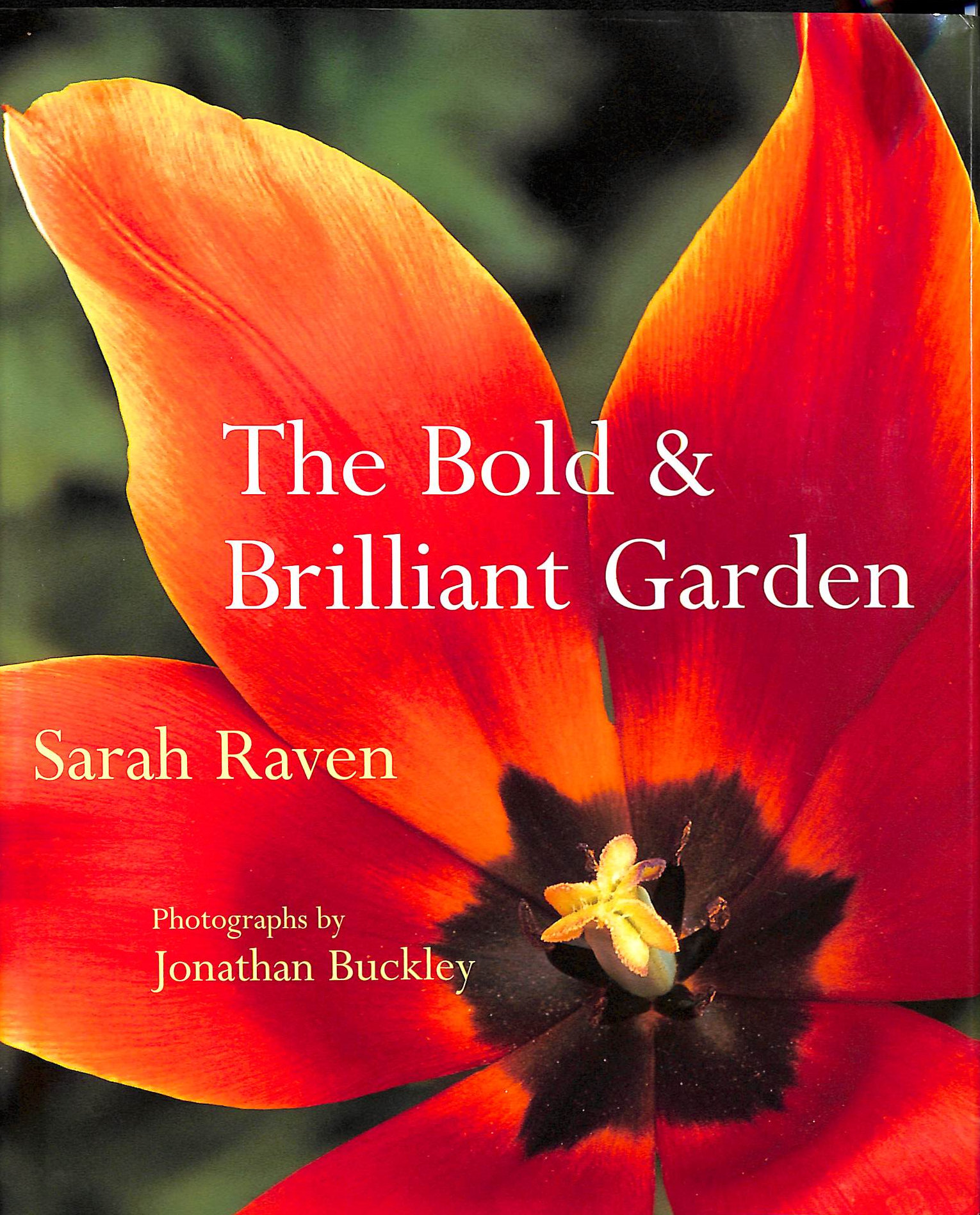 The Bold and Brilliant Garden