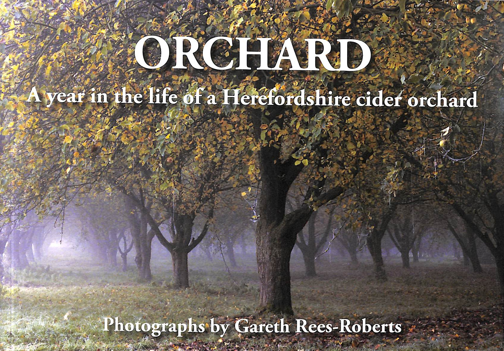 Orchard: A Year in the Life of a Herefordshire Cider Orchard