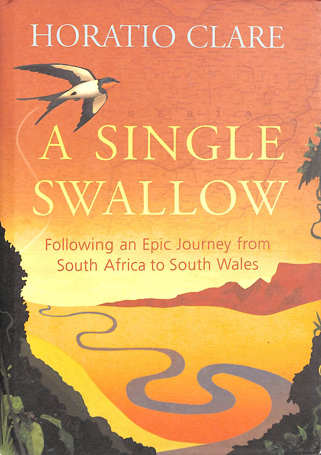 Single Swallow, A Following An Epic Journey From South Africa To