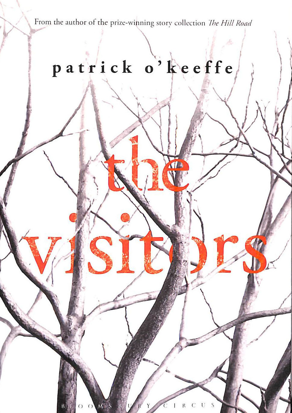 The Visitors