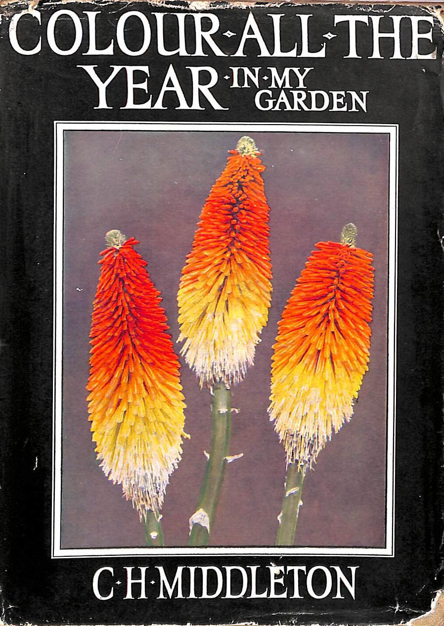 Colour All The Year In My Garden