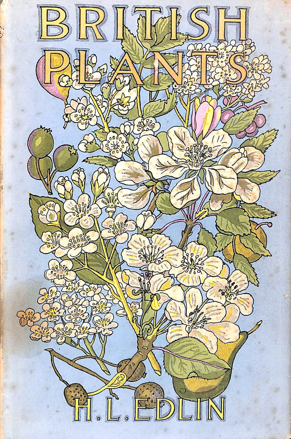 British plants and their uses