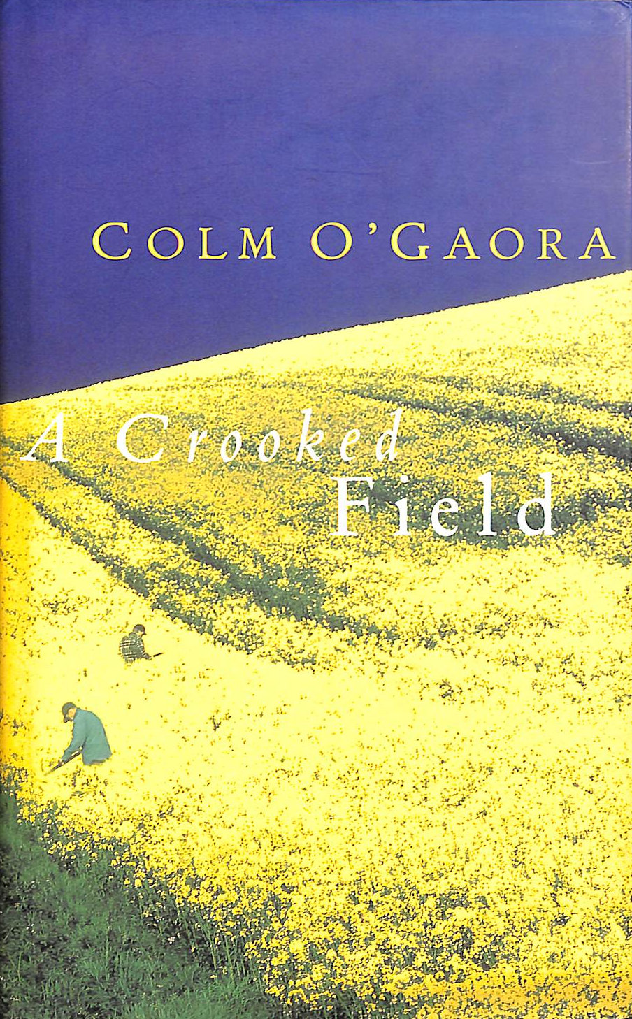 A Crooked Field