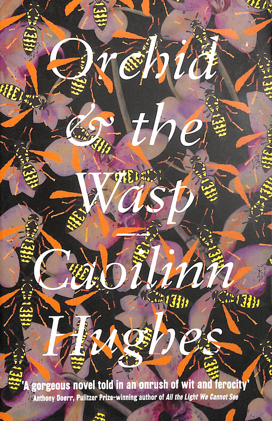Orchid & the Wasp