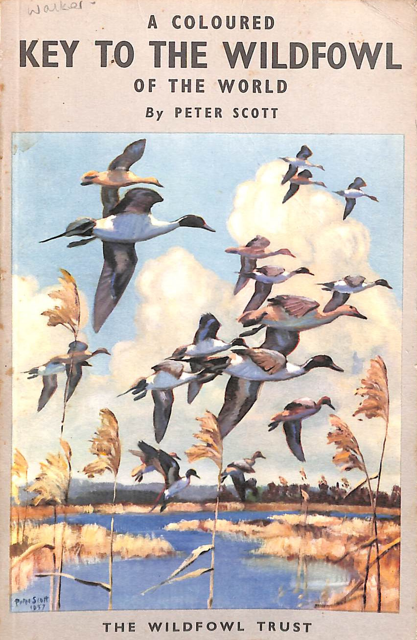 Coloured Key to the Wildfowl of the World By Sir Peter Scott (Collins Illustrated Checklist) (Revised edition)
