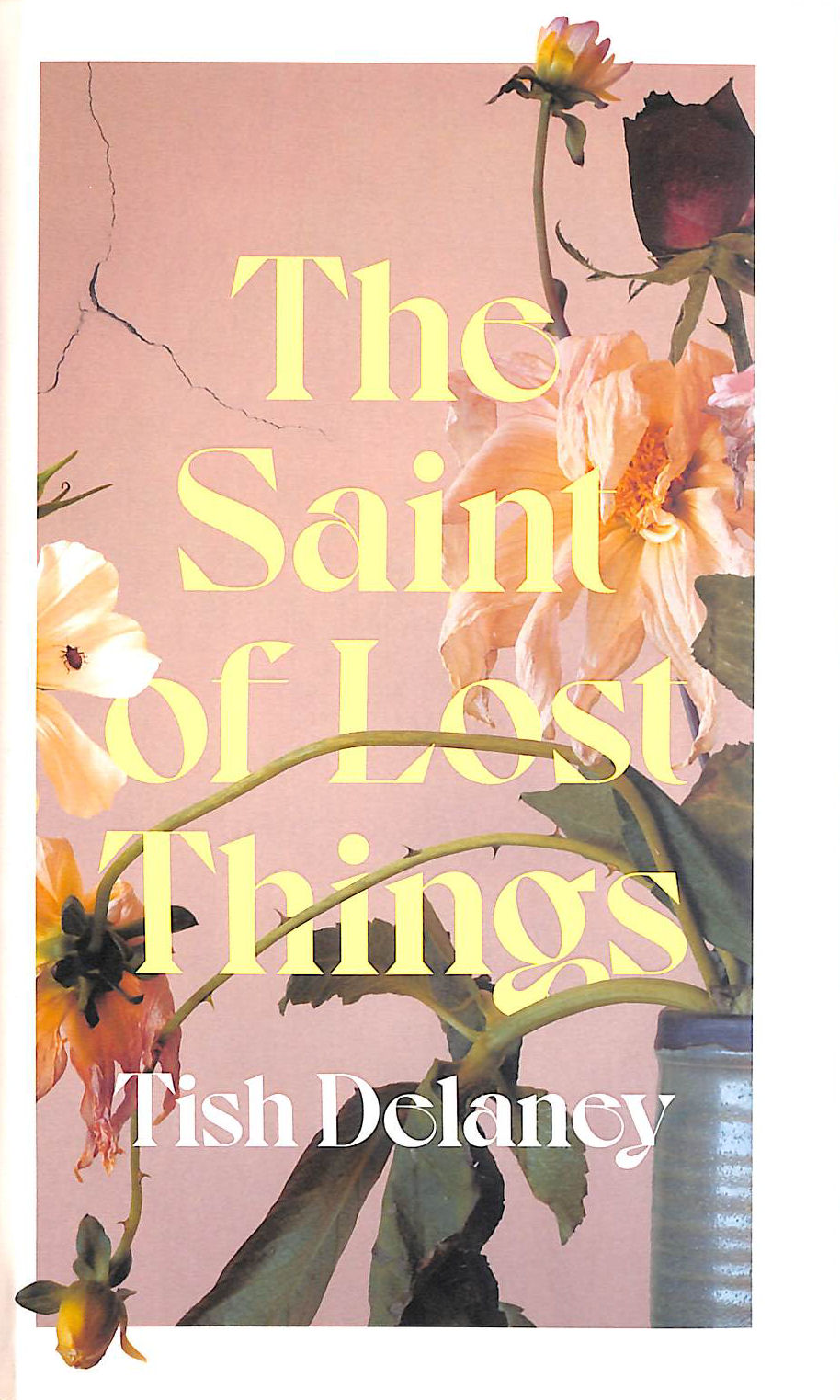 The Saint of Lost Things