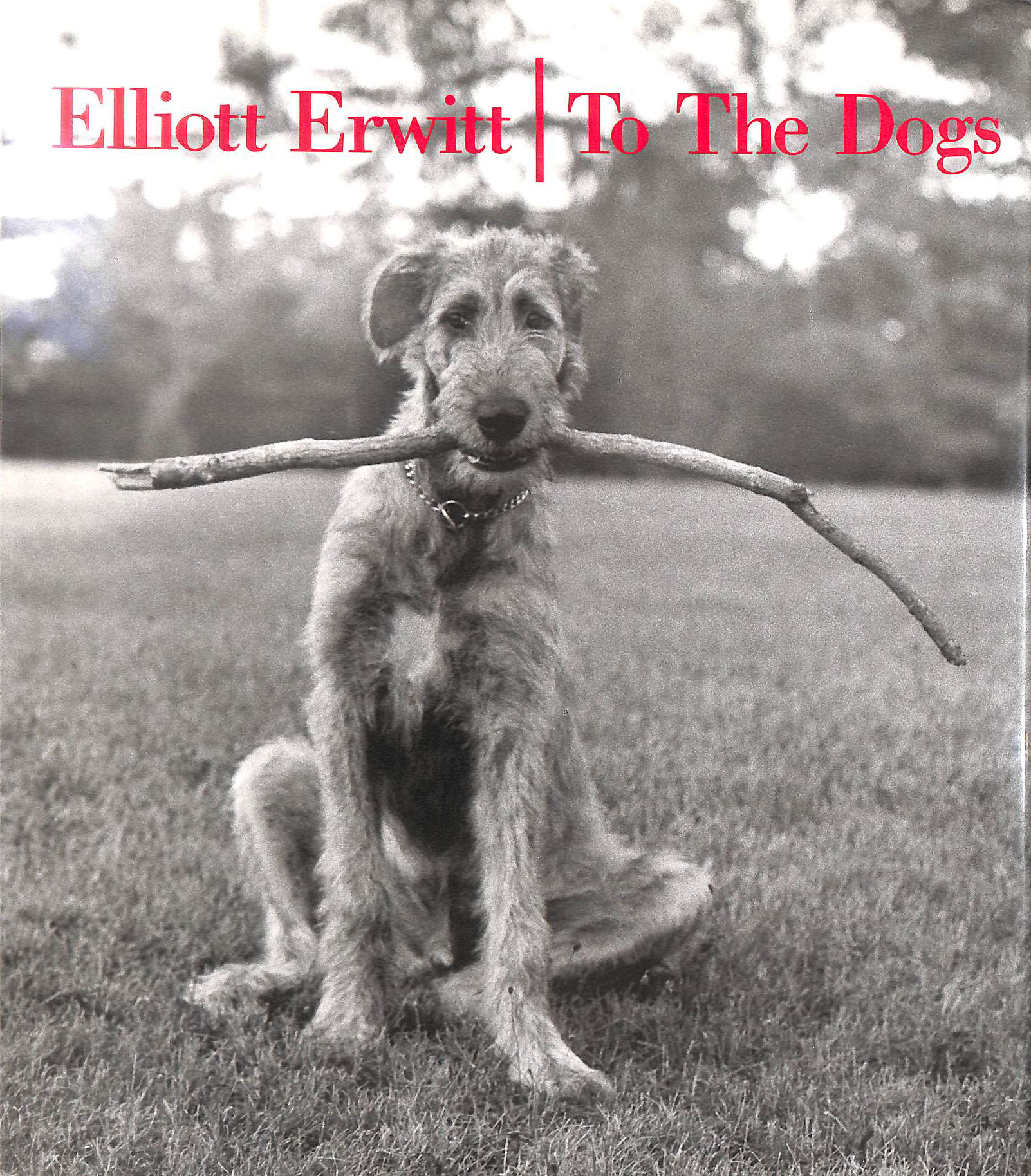 To the Dogs