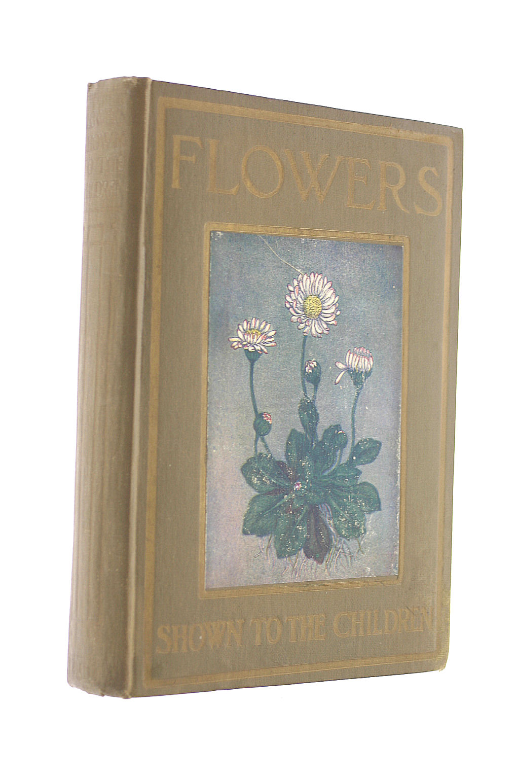 Flowers Shown To The Children