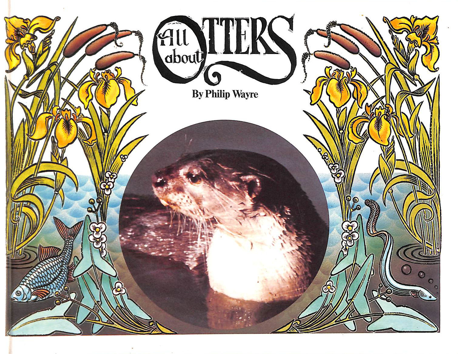 All About Otters
