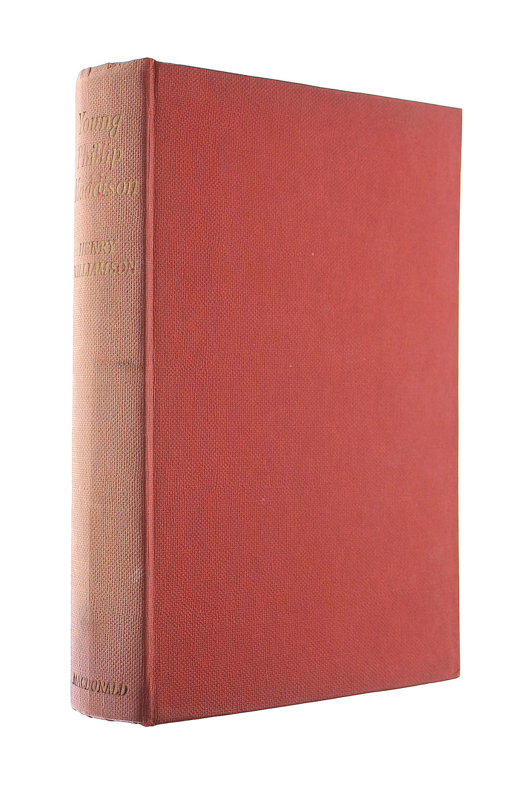 Young Phillip Maddison