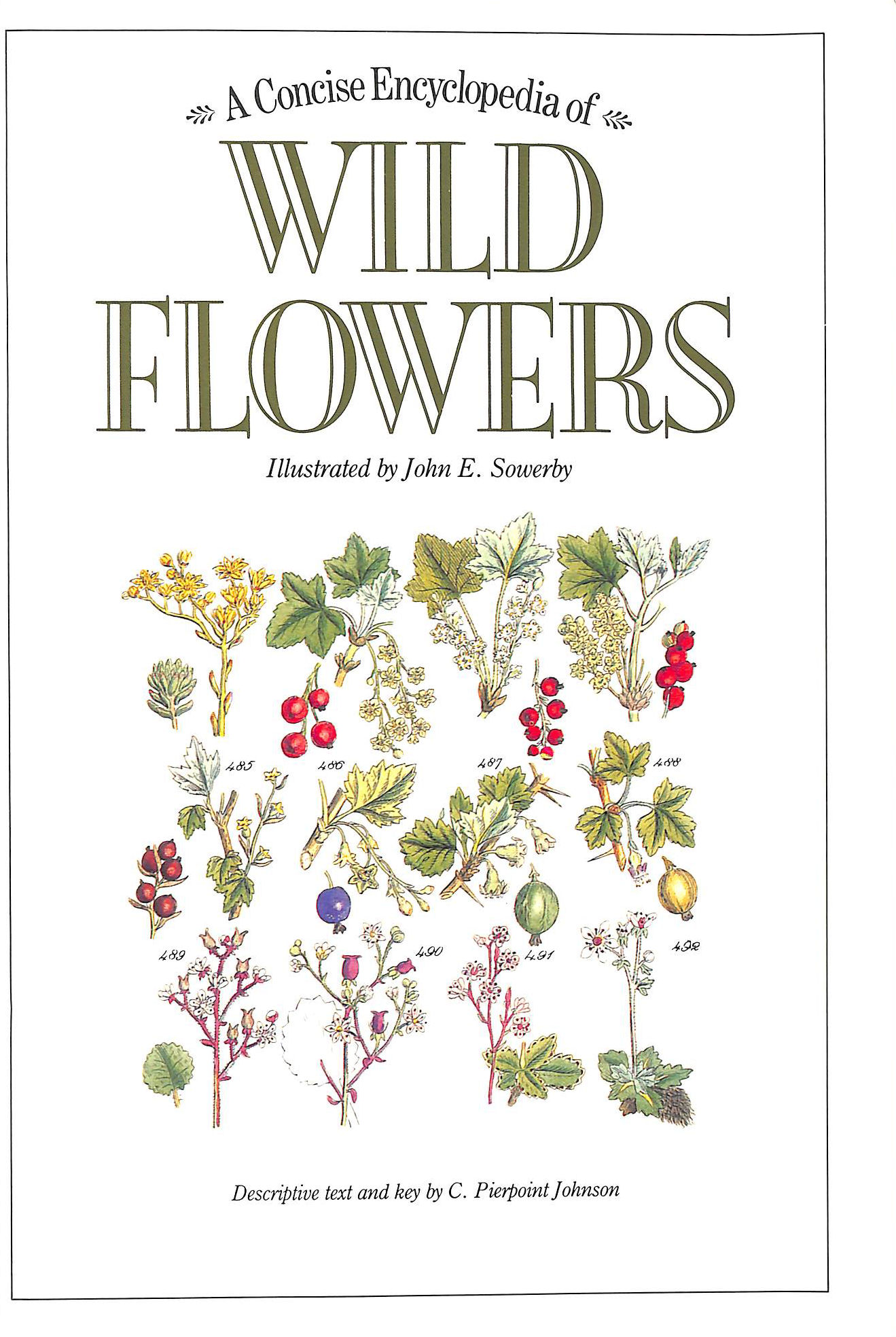 A Concise Encyclopedia of Wild Flowers