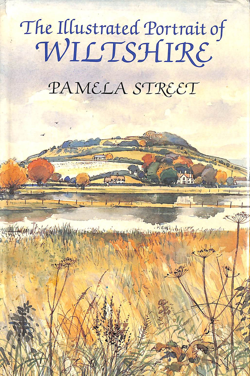 An Illustrated Portrait of Wiltshire
