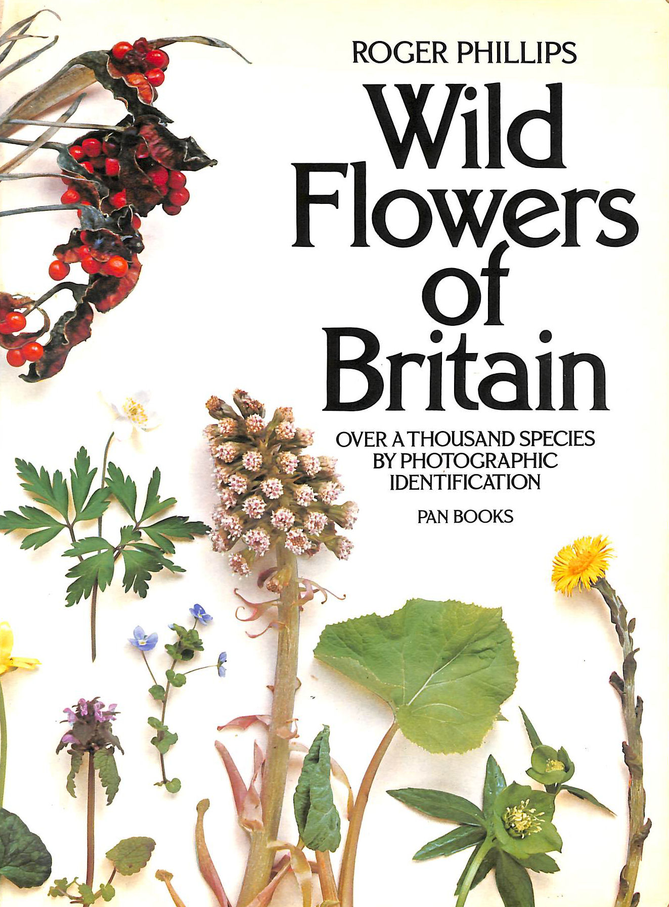 Wild Flowers of Britain: Over a Thousand Species By Photographic Identification (A Pan Original)