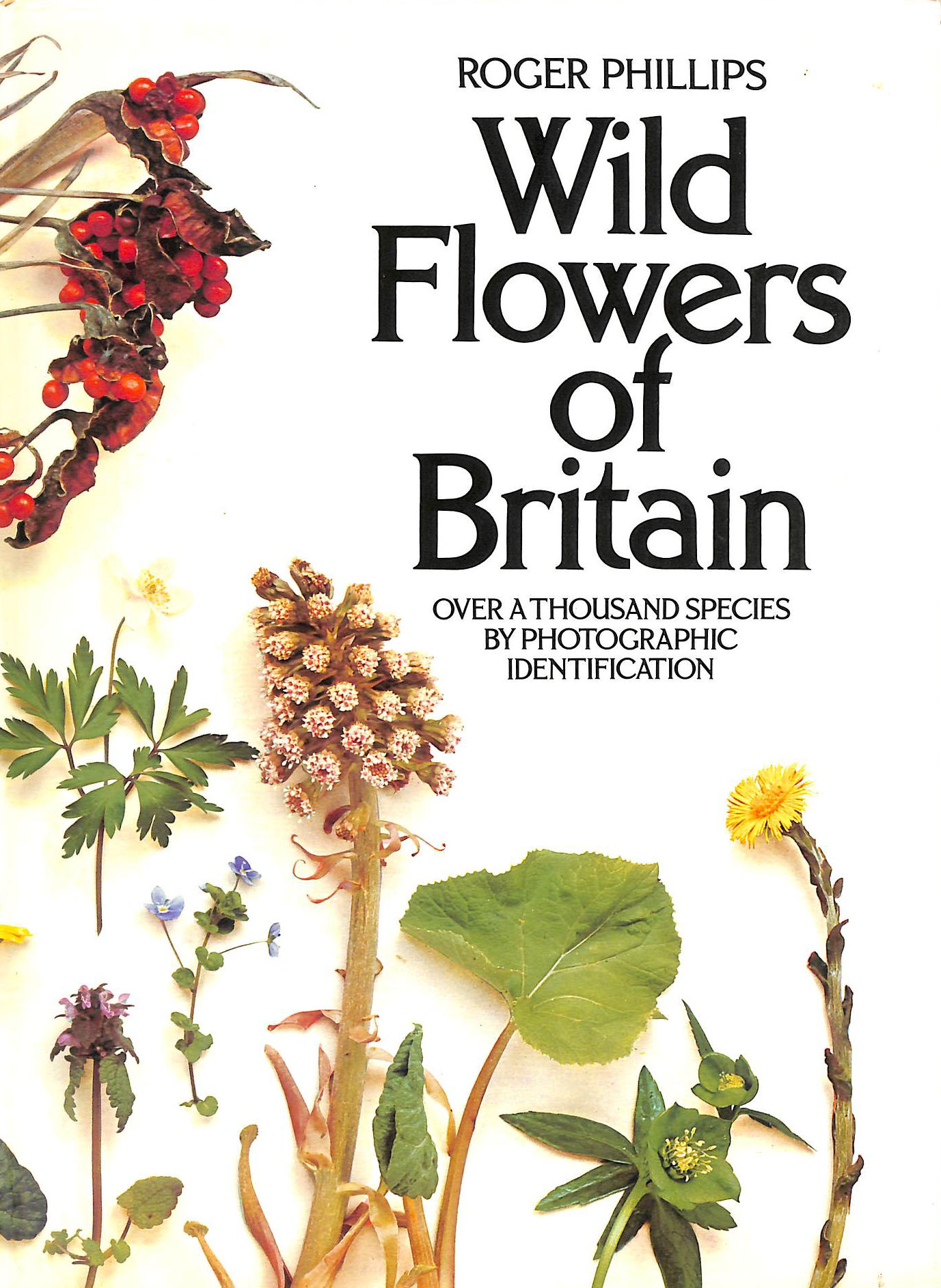 Wild Flowers of Britain