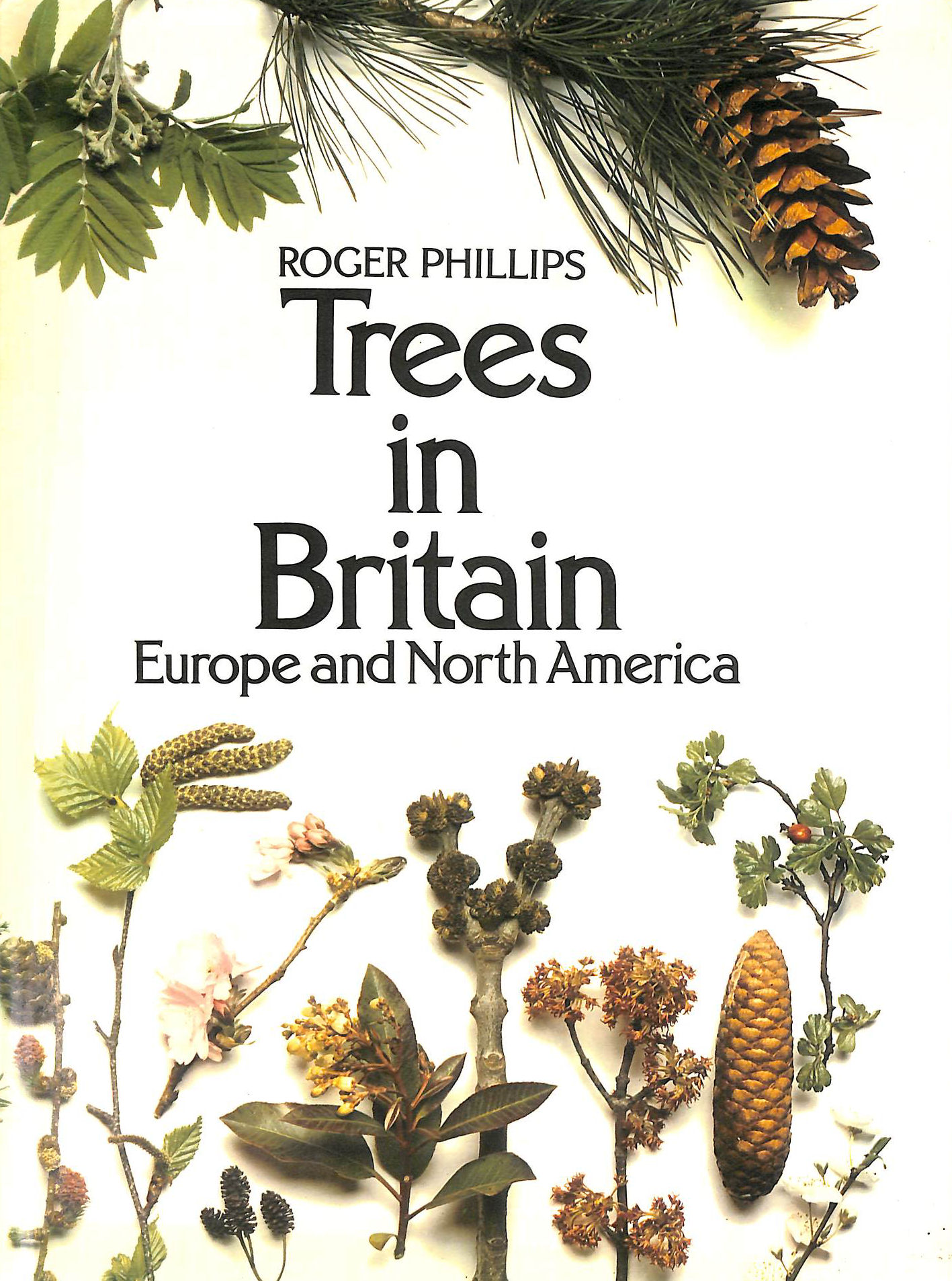 Trees in Britain, Europe and North America