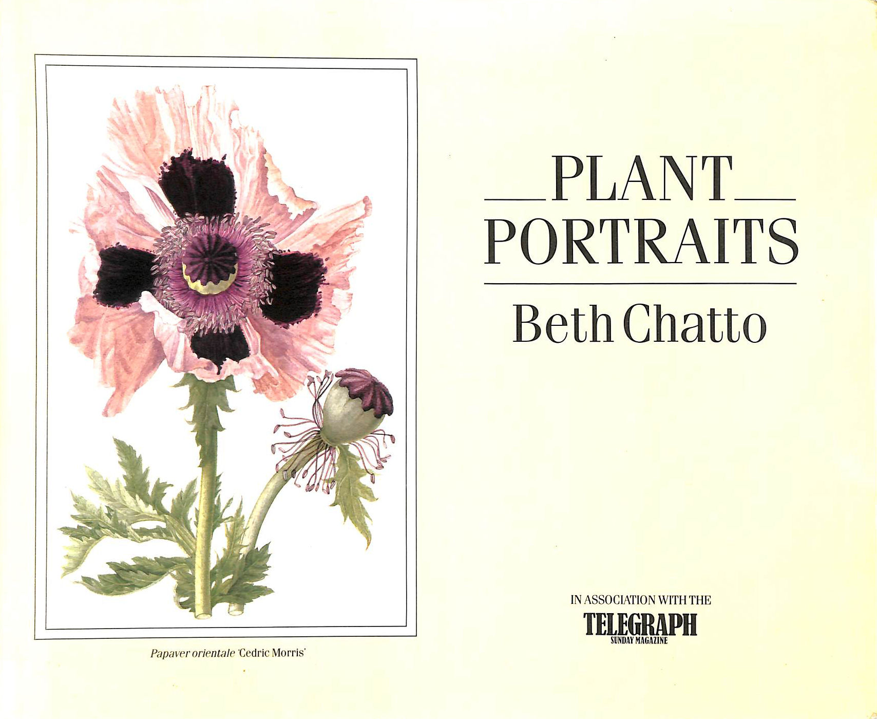 Plant Portraits