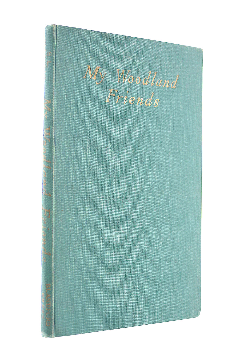 My Woodland Friends