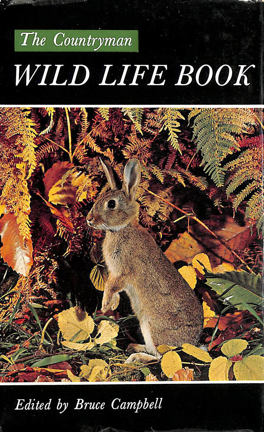 The Countryman Wild Life Book