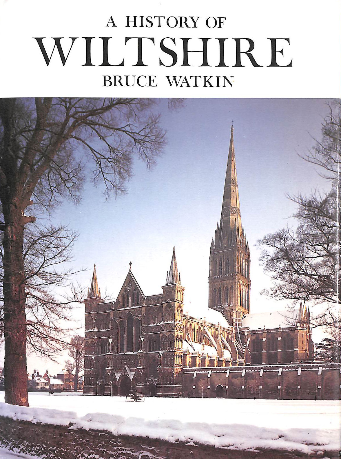 A History of Wiltshire (Darwen county histories)