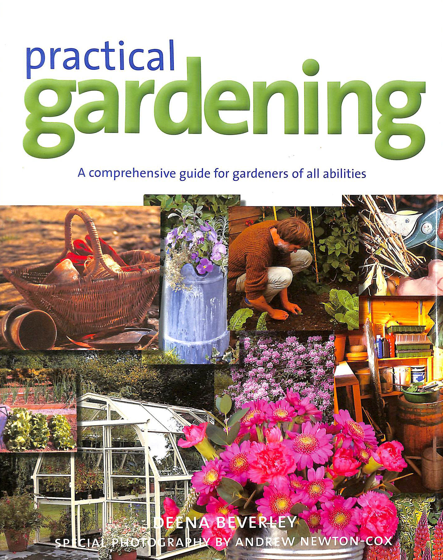 Practical Gardening (Gardening S.)