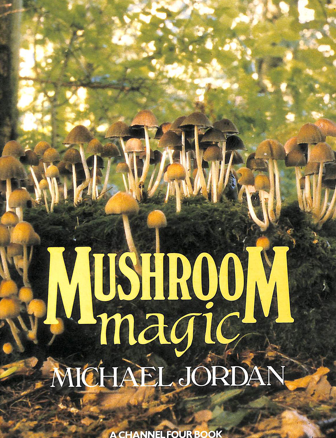 Mushroom Magic