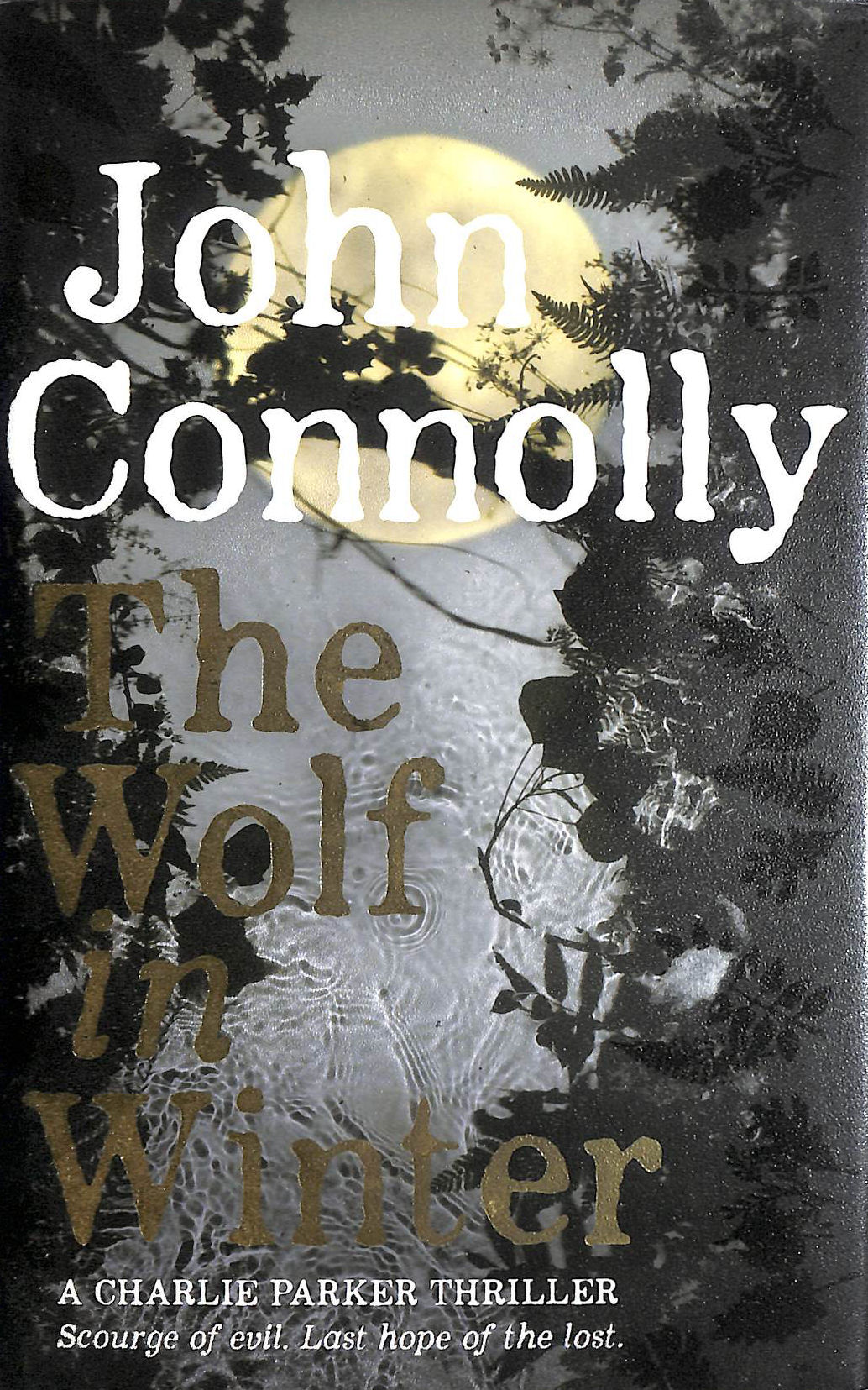 The Wolf in Winter, Signed limited edition