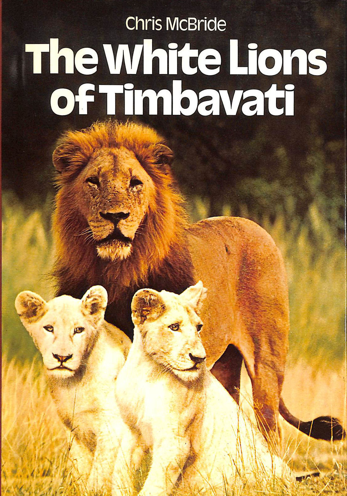 The White Lions of Timbavati