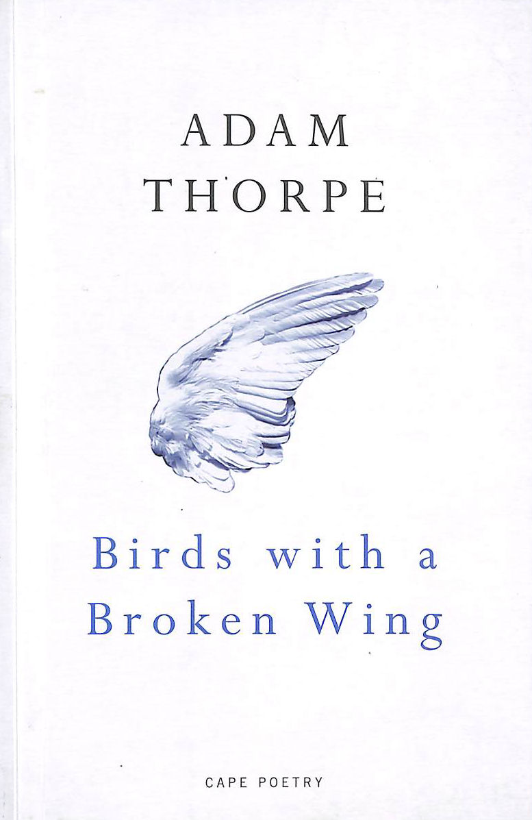 Birds With A Broken Wing