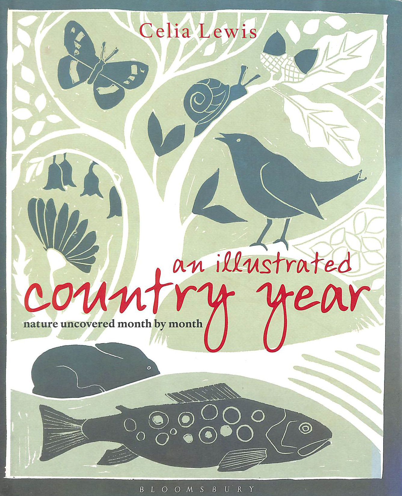 An Illustrated Country Year: Nature uncovered month by month