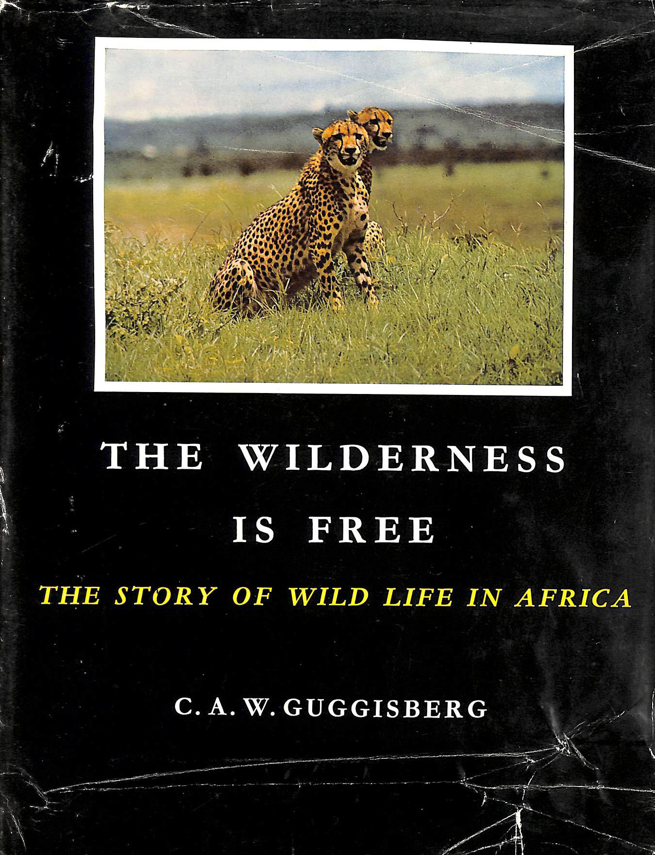 The Wilderness is Free