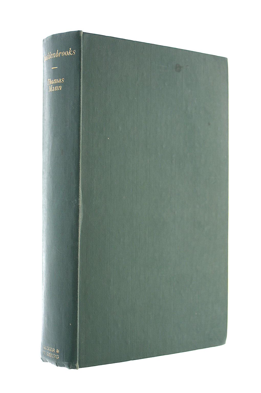 Buddenbrooks: The Decline of a Family