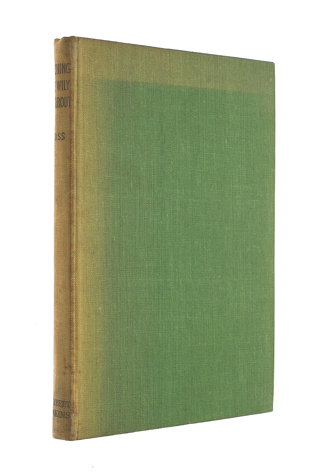 Catching the wily sea-trout