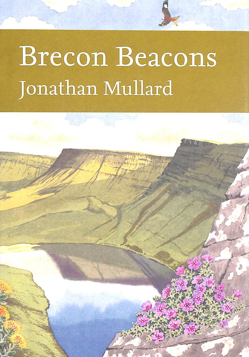 Brecon Beacons: Book 126 (Collins New Naturalist Library)