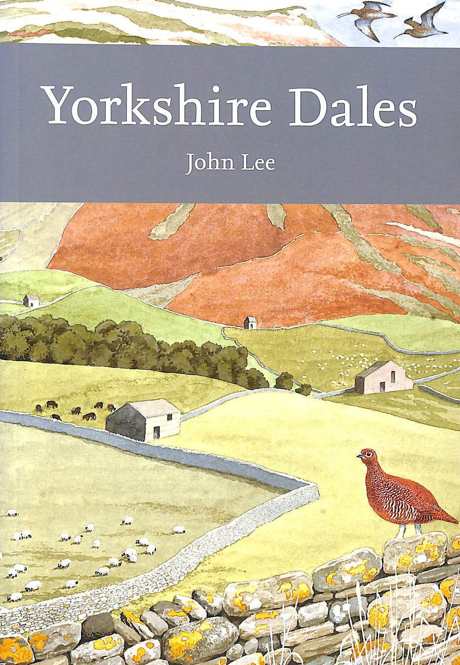 Yorkshire Dales: Book 130 (Collins New Naturalist Library)
