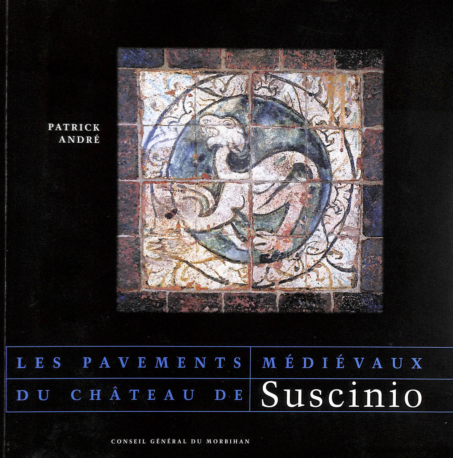 Les Pavements Medievaux Du Chateau De Suscinio.