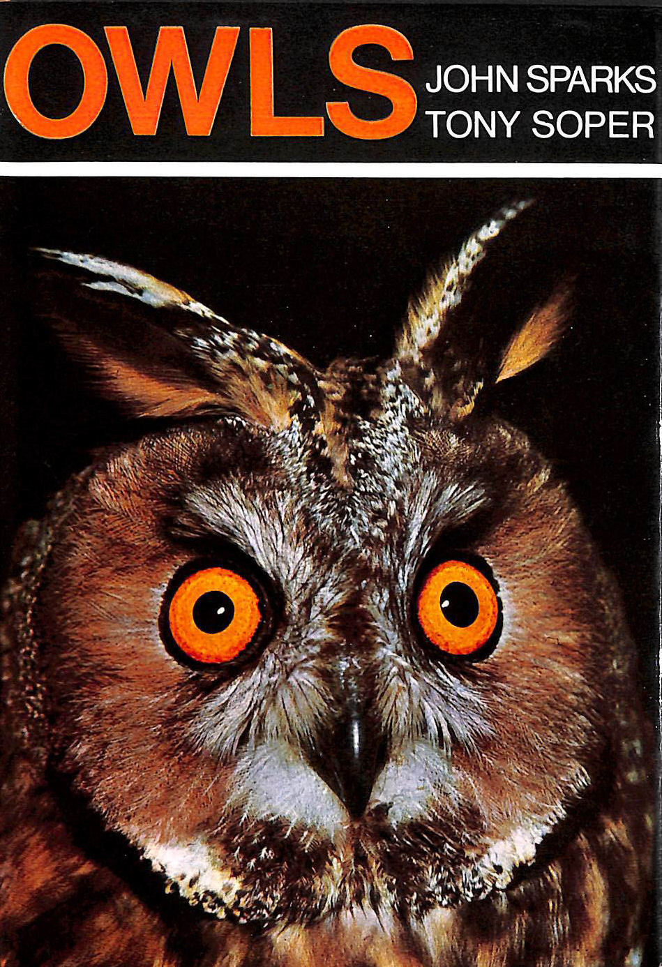 Owls: Their Natural and Unnatural History
