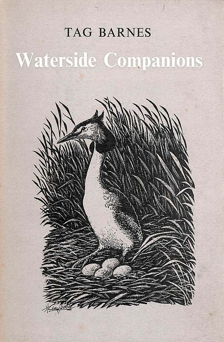 Waterside Companions