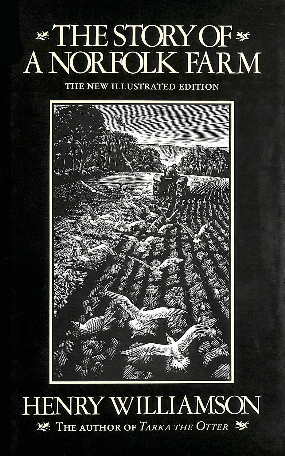 The Story of a Norfolk Farm