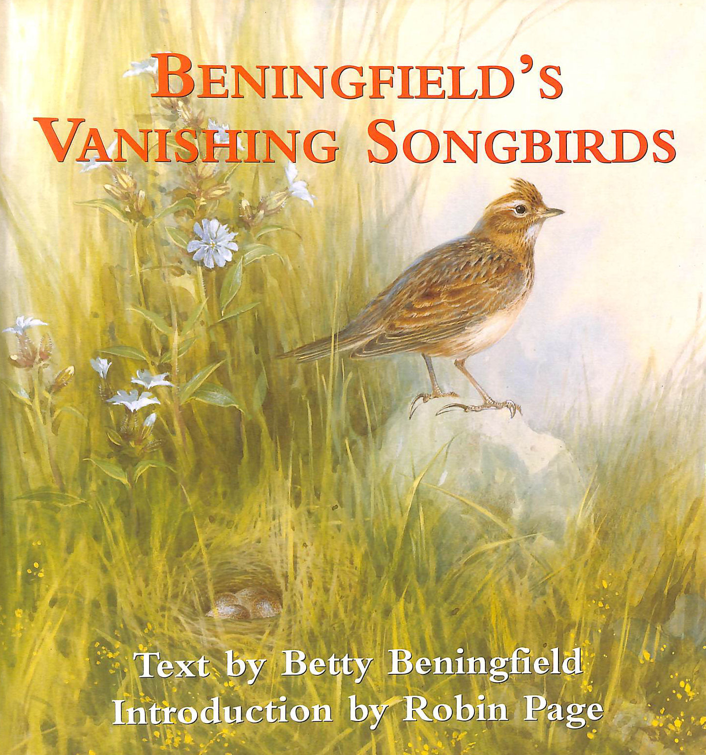 Beningfield's Vanishing Songbirds