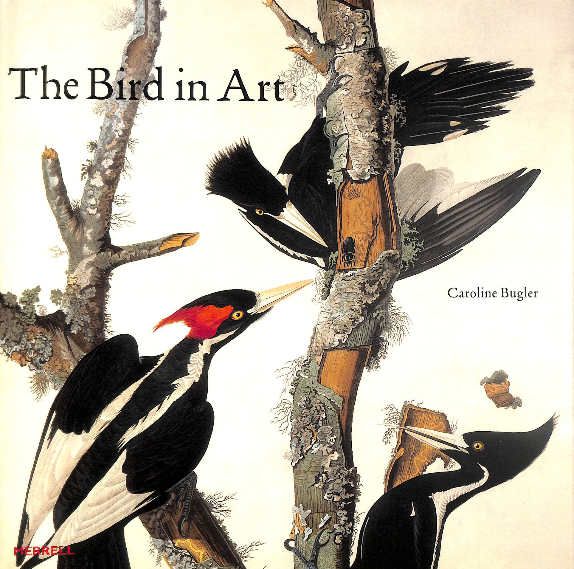 Bird in Art