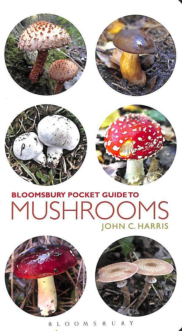 Pocket Guide to Mushrooms (Pocket Guides)