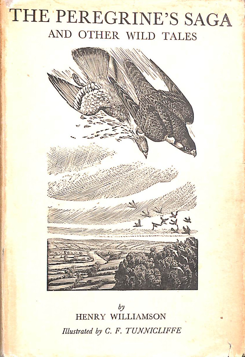 The Peregrine's Saga