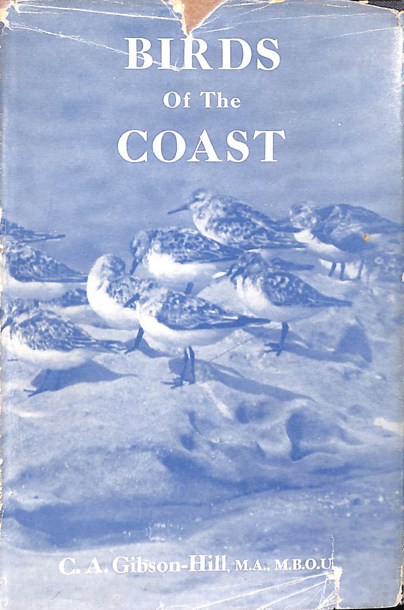 Birds Of The Coast