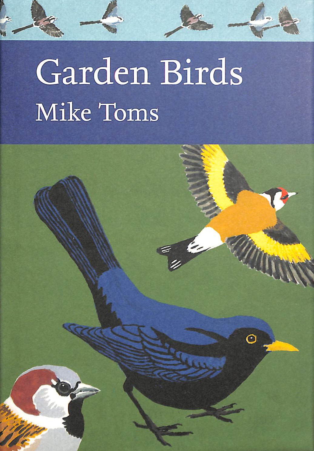 Garden Birds: Book 140 (Collins New Naturalist Library)