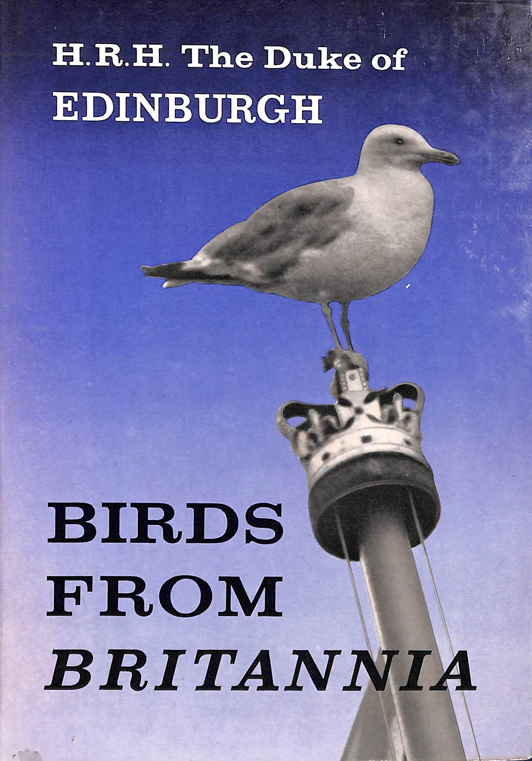 Birds from 'Britannia'